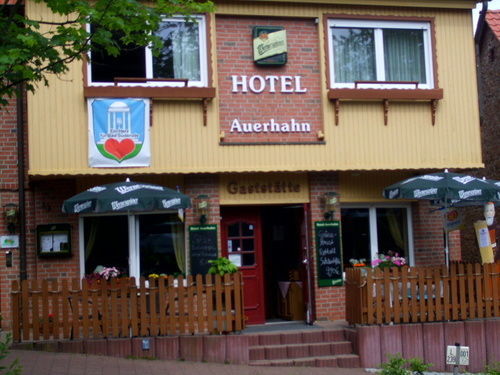 Hotel Auerhahn Bad Suderode Exterior foto